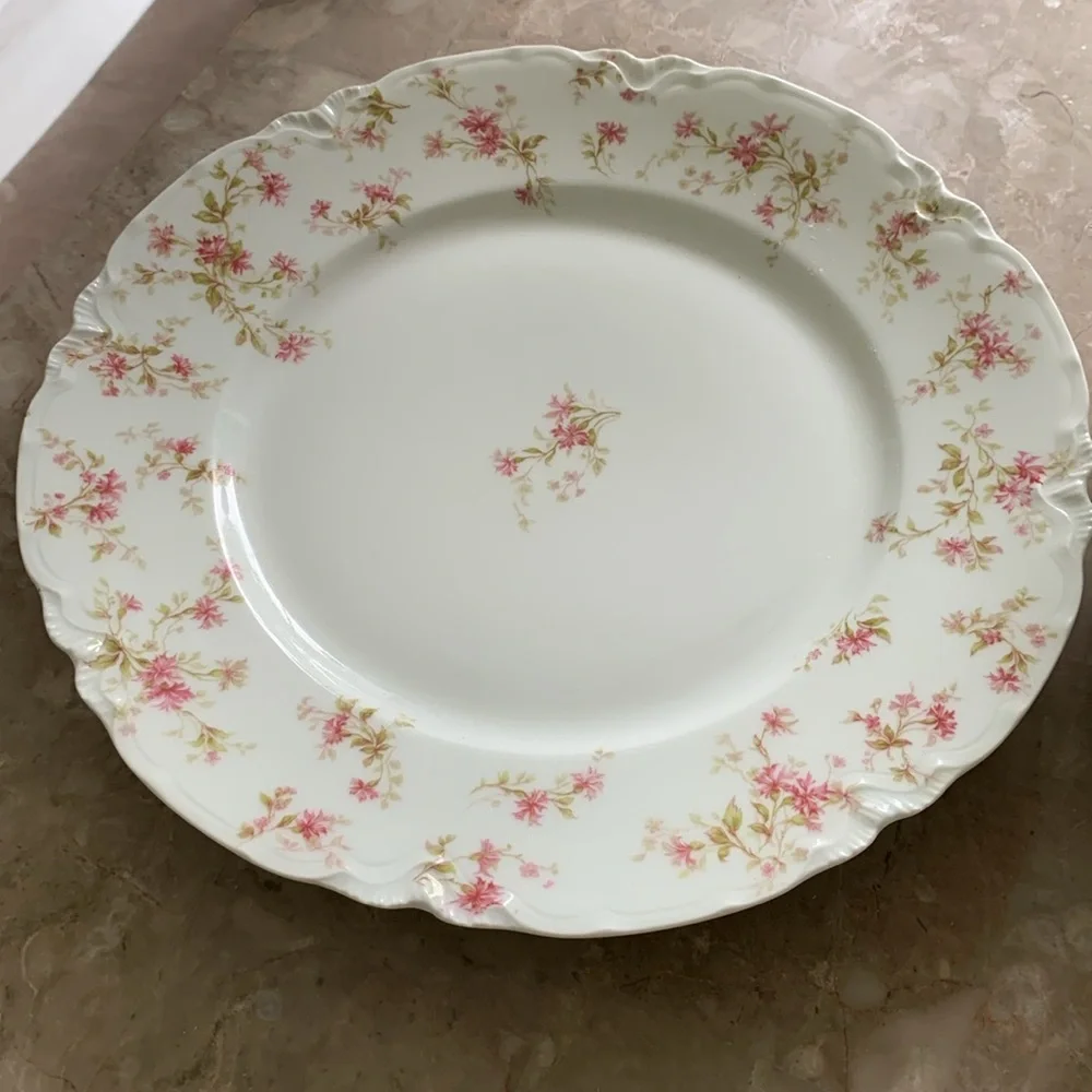 6 Vintage HAVILAND LIMOGES‎ France Fine China Pink FLOWERS 9 1/2